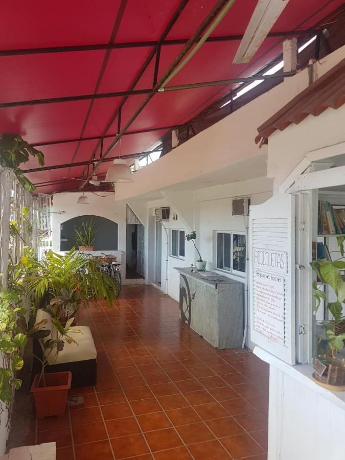 Lobo Inn Tulum Extérieur photo