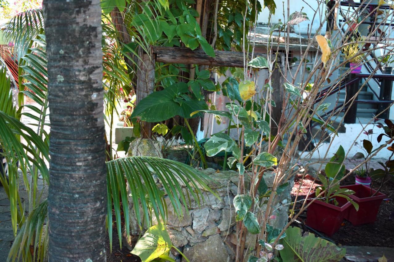 Lobo Inn Tulum Extérieur photo