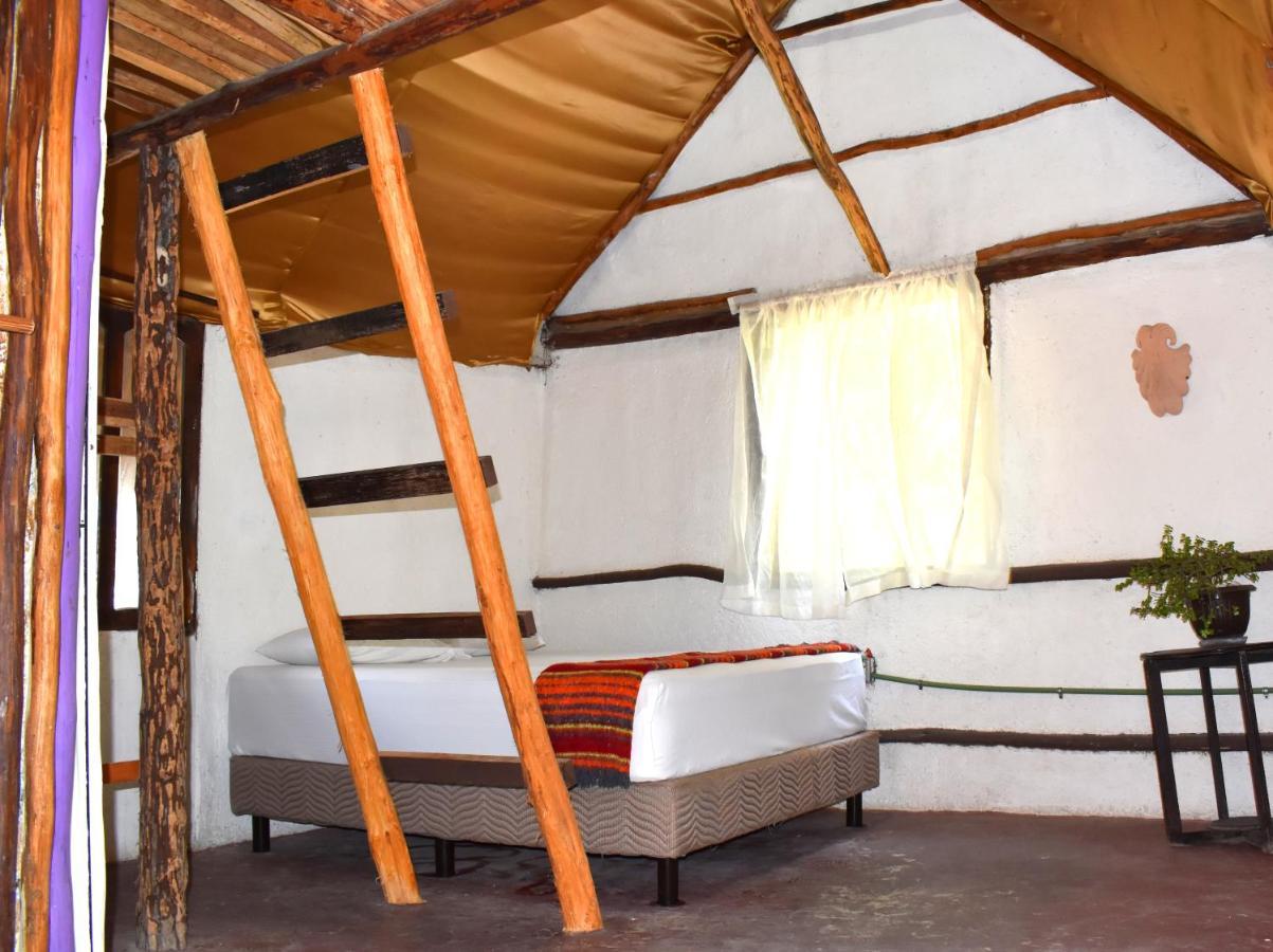 Lobo Inn Tulum Extérieur photo