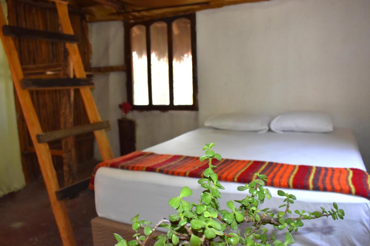 Lobo Inn Tulum Extérieur photo