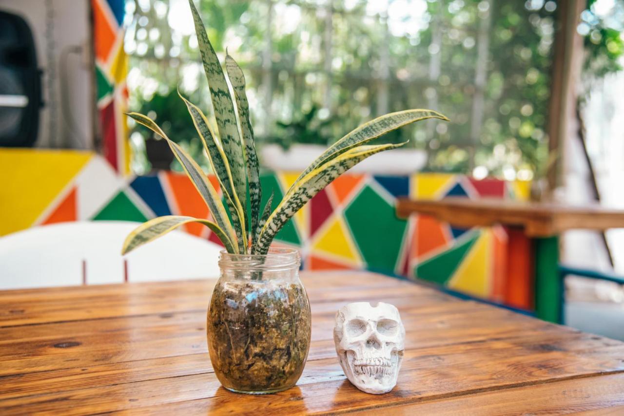 Lobo Inn Tulum Extérieur photo