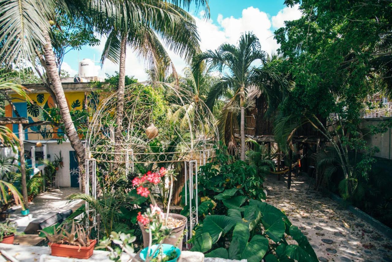 Lobo Inn Tulum Extérieur photo